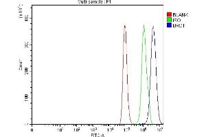 Flow Cytometry analysis of Hela cells using anti-BRDT antibody (ABIN7602468). (BRDT anticorps  (AA 795-947))
