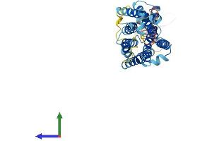 AlphaFold protein structure predicition of Mouse Recombinant Mrgprf Protein, UniprotID Q8VCJ6
