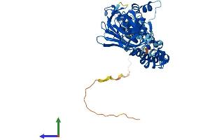 AlphaFold protein structure predicition of Human Recombinant BTBD1 Protein, UniprotID Q9H0C5