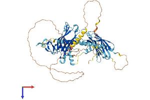 AlphaFold protein structure predicition of Human Recombinant SYTL3 Protein, UniprotID Q4VX76