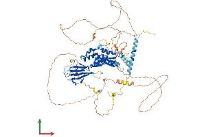 AlphaFold protein structure predicition of Human Recombinant NBN Protein, UniprotID O60934