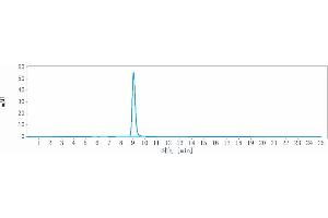 anti-Rh Blood Group, D Antigen (RHD) antibody
