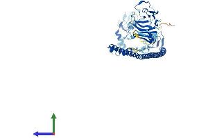 AlphaFold protein structure predicition of Mouse Recombinant Trim11 Protein, UniprotID Q99PQ2