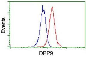 Flow cytometric Analysis of Jurkat cells, using anti-DPP9 antibody (ABIN2455319), (Red), compared to a nonspecific negative control antibody, (Blue). (DPP9 anticorps)