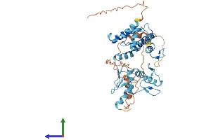 AlphaFold protein structure predicition of Human Recombinant ZSCAN31 Protein, UniprotID Q96LW9