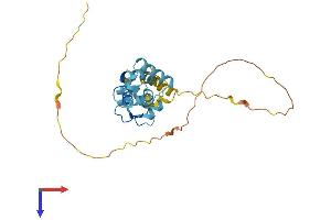 AlphaFold protein structure predicition of Mouse Recombinant Cabp4 Protein, UniprotID Q8VHC5