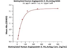 Immobilized Human TIE2, Fc Tag (ABIN6992355) at 2 μg/mL (100 μL/well) can bind Biotinylated Human Angiopoietin-2, His,Avitag (ABIN6972942) with a linear range of 7.