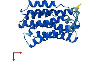 AlphaFold protein structure predicition of Human Recombinant KDELR2 Protein, UniprotID P33947