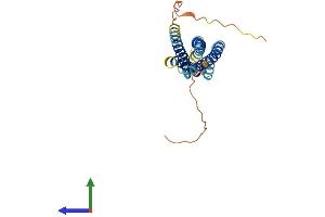 AlphaFold protein structure predicition of Human Recombinant MS4A6A Protein, UniprotID Q9H2W1