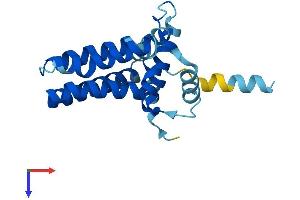 AlphaFold protein structure predicition of Mouse Recombinant Arl6ip5 Protein, UniprotID Q8R5J9