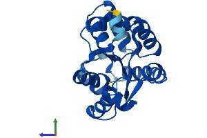 AlphaFold protein structure predicition of Human Recombinant AK1 Protein, UniprotID P00568