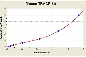 Diagramm of the ELISA kit to detect Mouse TRACP-5bwith the optical density on the x-axis and the concentration on the y-axis. (ACP5 Kit ELISA)