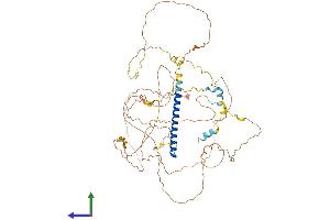 AlphaFold protein structure predicition of Mouse Recombinant Crtc3 Protein, UniprotID Q91X84