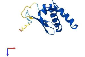 AlphaFold protein structure predicition of Human Recombinant ELOC Protein, UniprotID Q15369