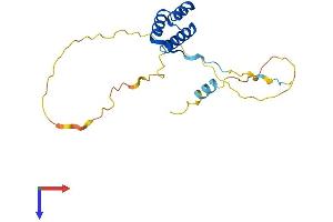 AlphaFold protein structure predicition of Mouse Recombinant Sebox Protein, UniprotID P70368