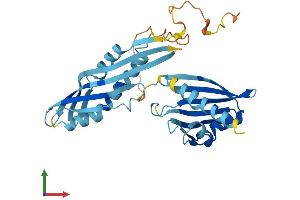 AlphaFold protein structure predicition of Mouse Recombinant Ahsa2 Protein, UniprotID Q8N9S3