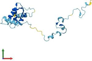 AlphaFold protein structure predicition of Human Recombinant TPPP2 Protein, UniprotID P59282