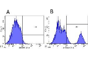 Flow-cytometry using the anti-CD20 research biosimilar antibody Rituximab   Cynomolgus monkey lymphocytes were stained with an isotype control (panel A) or the rabbit-chimeric version of Rituximab (panel B) at a concentration of 1 µg/ml for 30 mins at RT. (Recombinant MS4A1 (Rituximab Biosimilar) anticorps)