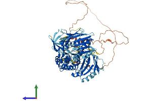 AlphaFold protein structure predicition of Mouse Recombinant Hlcs Protein, UniprotID Q920N2