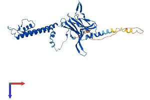 AlphaFold protein structure predicition of Human Recombinant KCNJ9 Protein, UniprotID Q92806