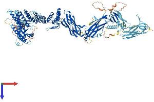 AlphaFold protein structure predicition of Human Recombinant TRAPPC9 Protein, UniprotID Q96Q05
