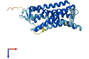 Olfactory Receptor 2F1 (OR2F1) (AA 1-317) protein (His tag)