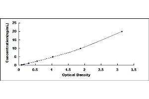 Typical standard curve (Annexin VIII Kit ELISA)