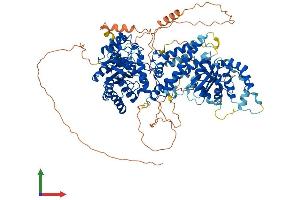 AlphaFold protein structure predicition of Mouse Recombinant Oga Protein, UniprotID Q9EQQ9
