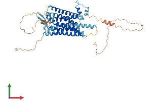 AlphaFold protein structure predicition of Mouse Recombinant Tacr3 Protein, UniprotID P47937