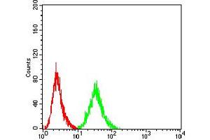 Flow cytometric analysis of Hela cells using TFAP2A mouse mAb (green) and negative control (red).