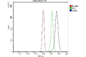 Flow Cytometry analysis of RAW264.