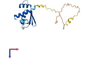 AlphaFold protein structure predicition of Mouse Recombinant Rps10 Protein, UniprotID P63325