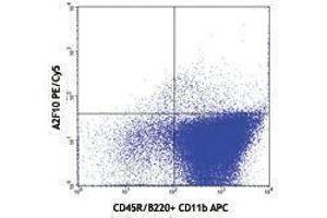 Flow Cytometry (FACS) image for anti-Fms-Related tyrosine Kinase 3 (FLT3) antibody (PE-Cy5) (ABIN2658915) (FLT3 anticorps  (PE-Cy5))