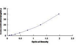 Typical standard curve