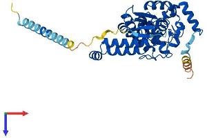 tyrosylprotein Sulfotransferase 2 (TPST2) (AA 1-377) protein (His tag)