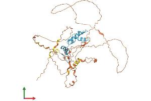 AlphaFold protein structure predicition of Human Recombinant KLF5 Protein, UniprotID Q13887