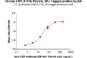 ELISA plate pre-coated by 2 μg/mL (100 μL/well) Human CB1(1-116) Protein, hFc Tag (ABIN6964092, ABIN7042439 and ABIN7042440) can bind Anti-CB1 antibody(DM144), Rabbit mAb in a linear range of 3.