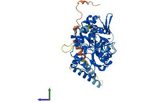 AlphaFold protein structure predicition of Human Recombinant NT5DC4 Protein, UniprotID Q86YG4