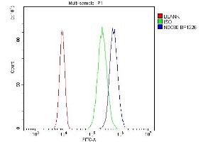 Flow Cytometry analysis of SiHa cells using anti-NDC80 antibody (ABIN7602585). (NDC80 anticorps  (AA 87-602))