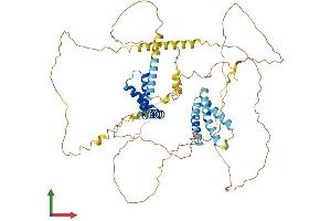 AlphaFold protein structure predicition of Human Recombinant HMGXB4 Protein, UniprotID Q9UGU5