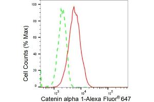 Flow cytometric analysis of Catenin alpha 1 expression in C2C12 cells using Catenin alpha 1 antibody (ABIN7797923), 1:2,000). (Recombinant CTNNA1 anticorps)