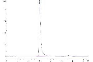 The purity of SARS-COV-2 Spike S1 is greater than 95 % as determined by SEC-HPLC.