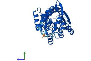 AlphaFold protein structure predicition of Human Recombinant HNMT Protein, UniprotID P50135