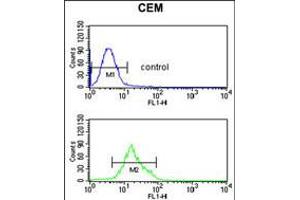 Flow cytometric analysis of CEM cells (bottom histogram) compared to a negative control cell (top histogram).