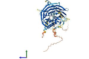 AlphaFold protein structure predicition of Human Recombinant FBXW8 Protein, UniprotID Q8N3Y1