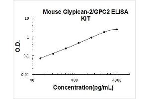 Glypican 2 (GPC2) ELISA Kit