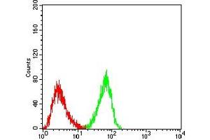 Flow cytometric analysis of MOLT4 cells using CD205 mouse mAb (green) and negative control (red).