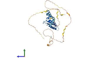 AlphaFold protein structure predicition of Mouse Recombinant Khdrbs1 Protein, UniprotID Q60749