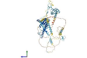 AlphaFold protein structure predicition of Human Recombinant PRPF3 Protein, UniprotID O43395