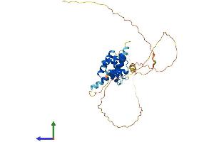 AlphaFold protein structure predicition of Mouse Recombinant Pou4f3 Protein, UniprotID Q63955